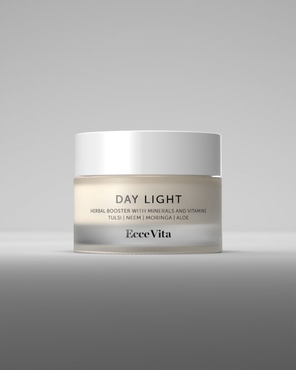 DayLight_v3_0160